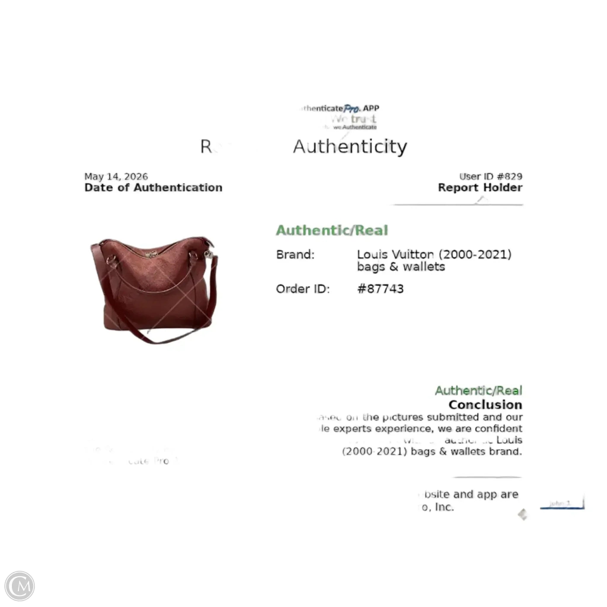 Handbag Luxury Designer By Louis Vuitton, Size: Large