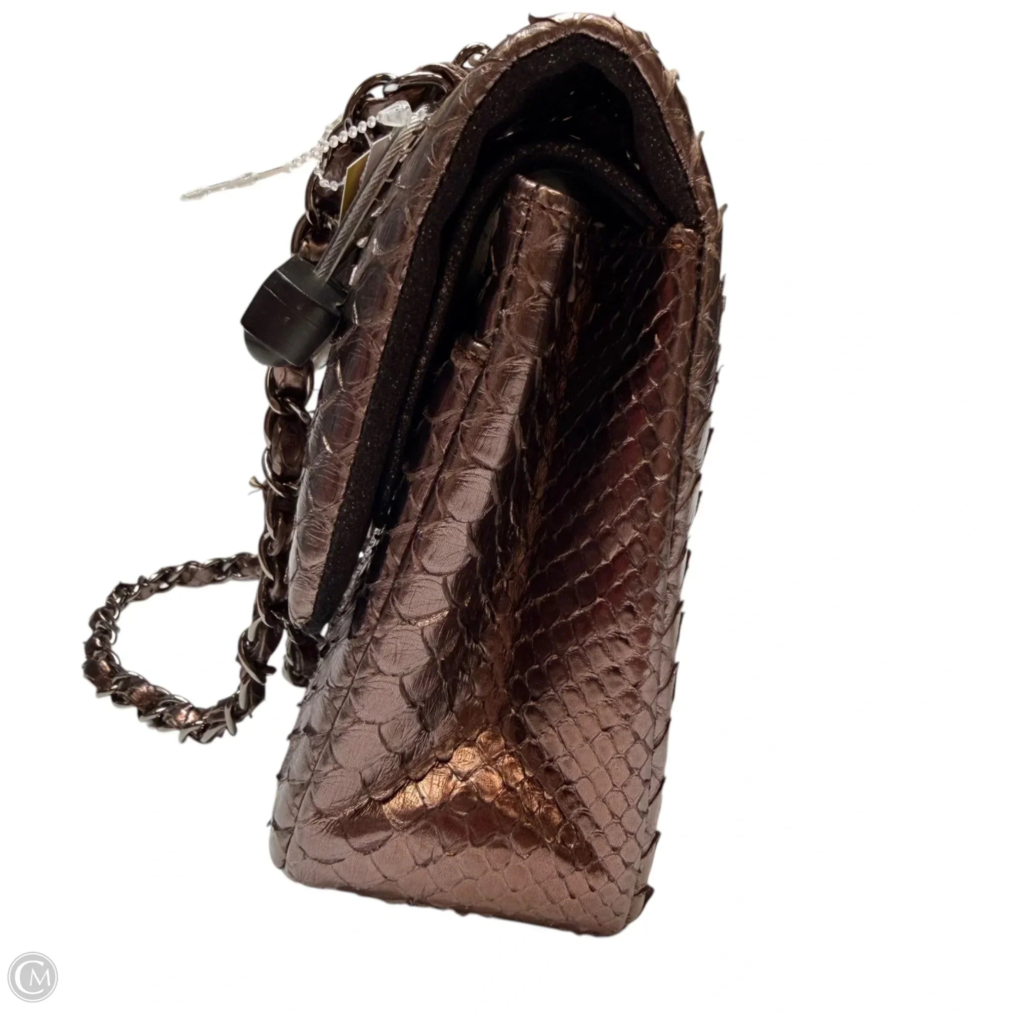 Crossbody Luxury Designer By Chanel, Size: Medium